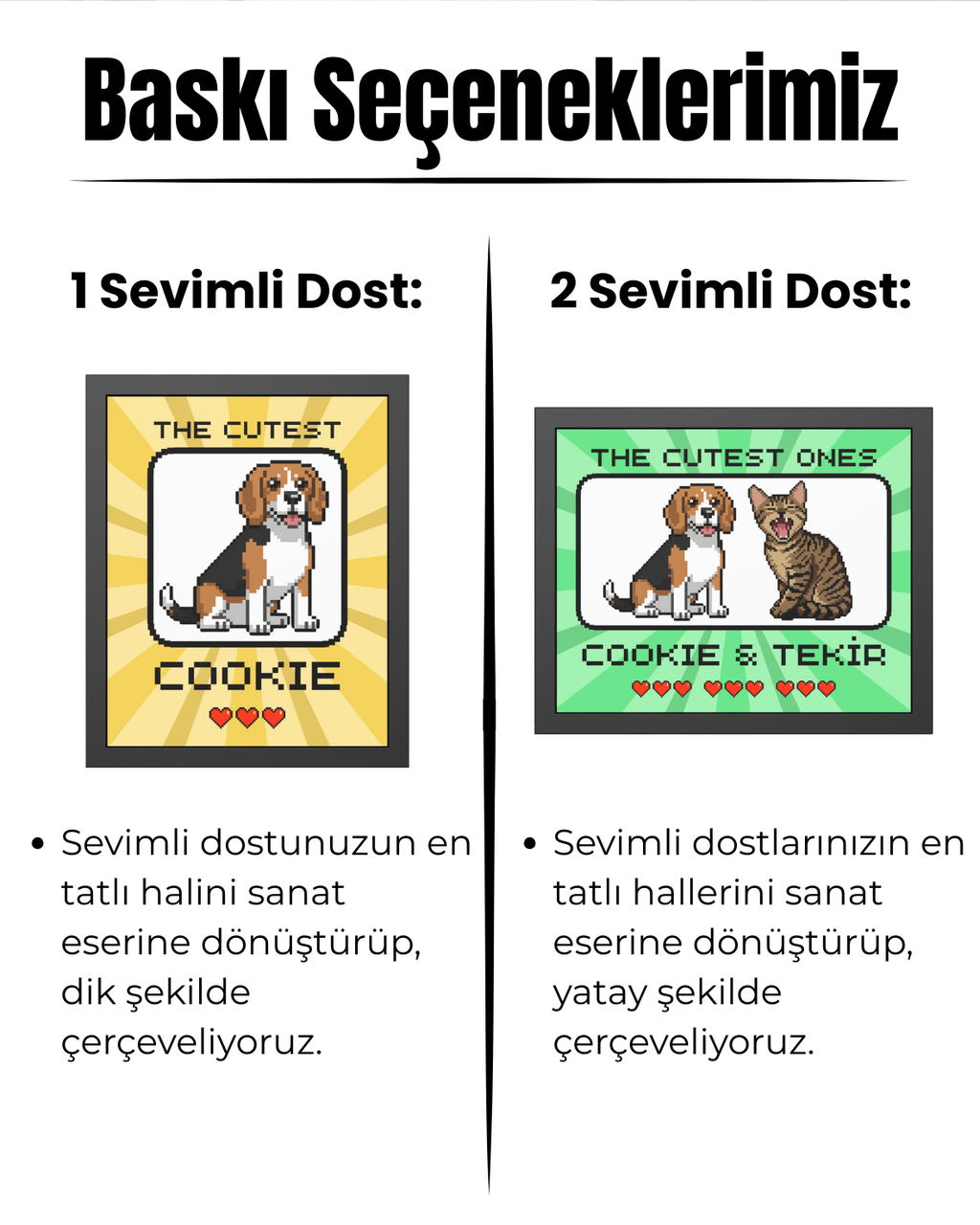 Kişiye Özel "Retro Oyun Karakteri" Temalı Evcil Hayvan Tasarımlı Tablo