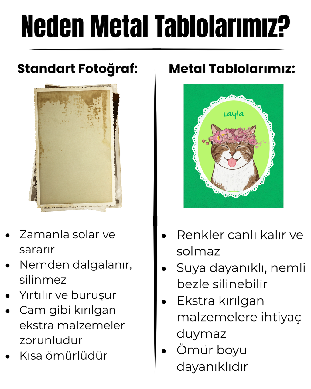 Kişiye Özel "Badly Drawn" Temalı Evcil Hayvan Tasarımlı Tablo