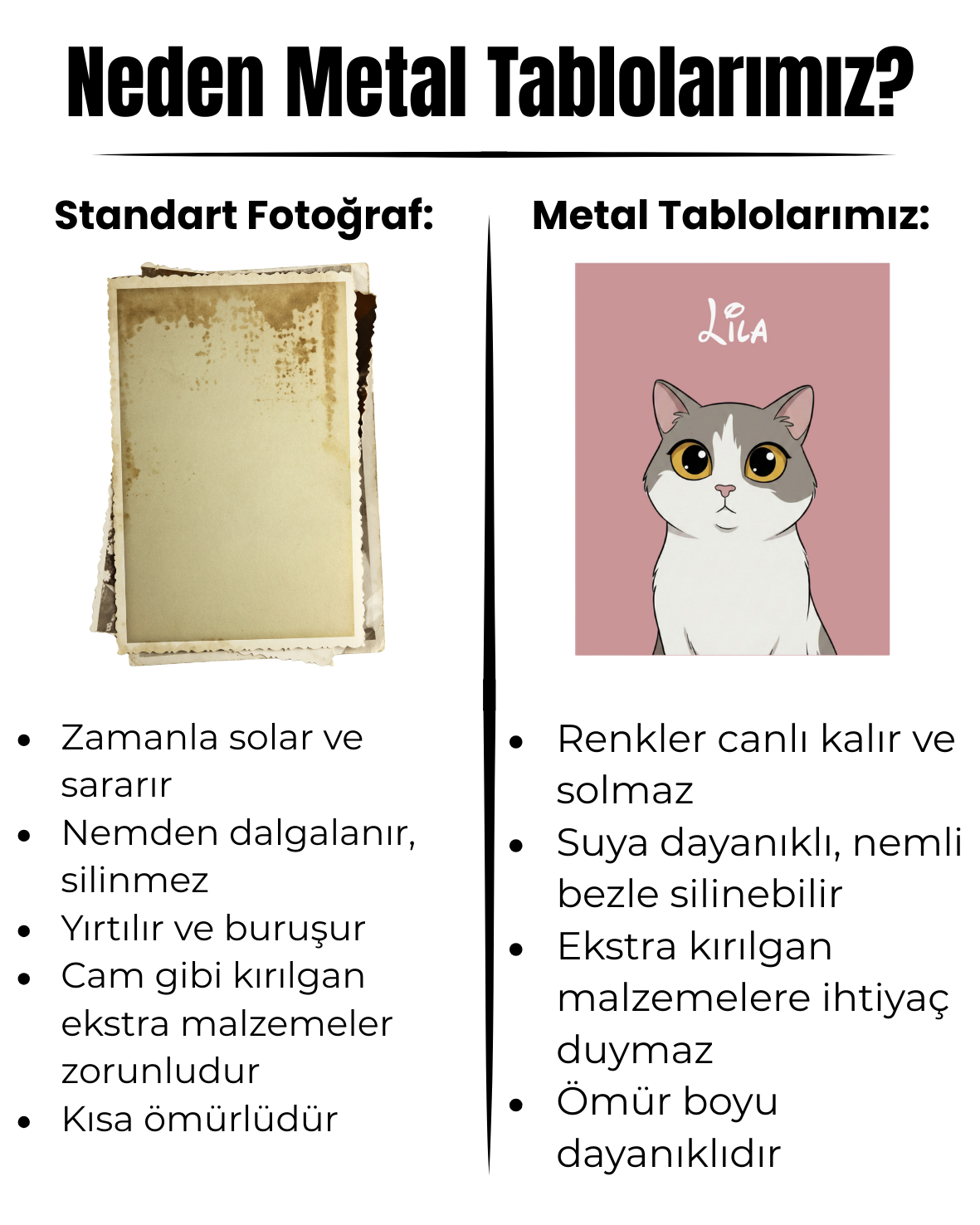 Kişiye Özel "Disney Kahramanı" Temalı Evcil Hayvan Tasarımlı Tablo