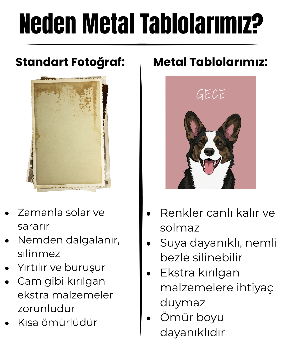 Kişiye Özel "Illustrated Art" Temalı Evcil Hayvan Tasarımlı Tablo