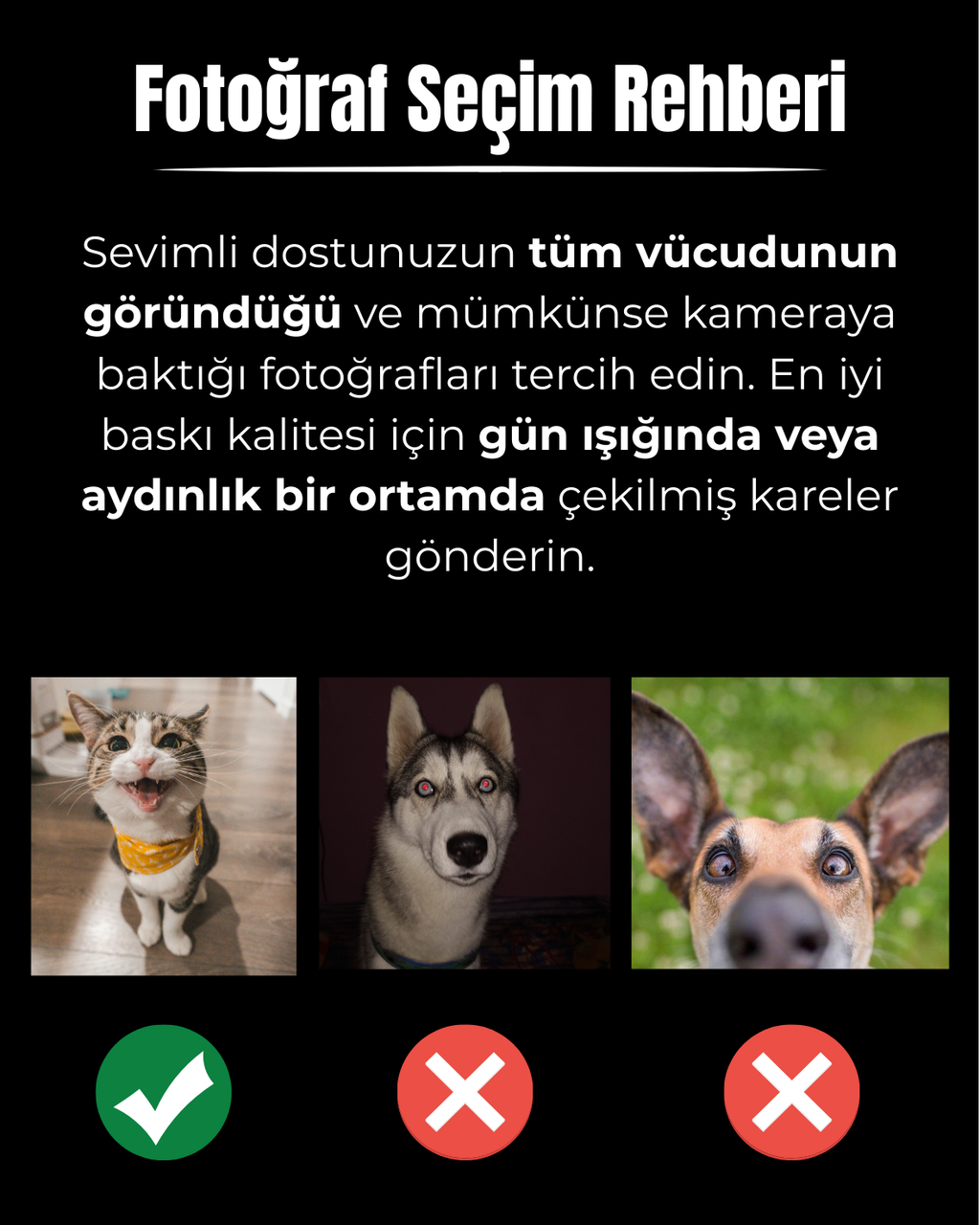 Kişiye Özel "Kara Kalem" Temalı Evcil Hayvan Tasarımlı Tablo