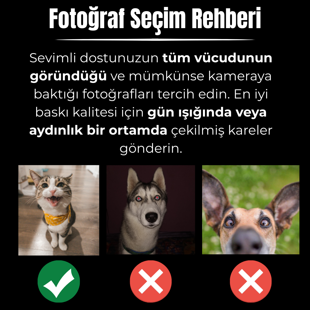 Kişiye Özel "Yağlı Boya" Temalı Evcil Hayvan Tasarımlı Kupa